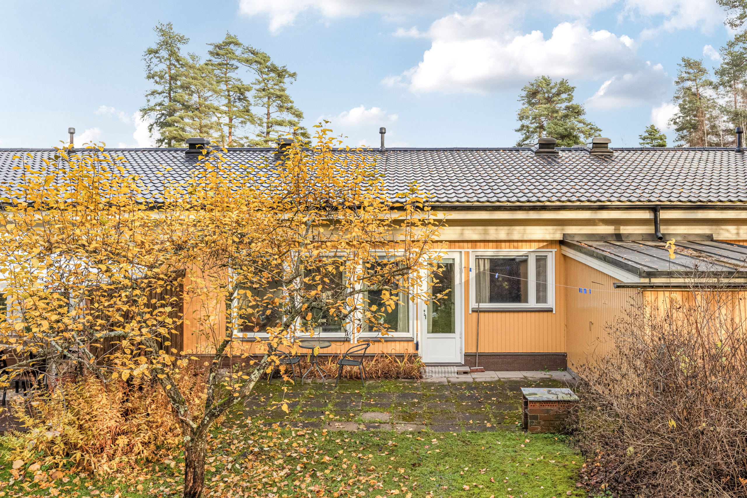 FI 6010462 1 9804 scaled